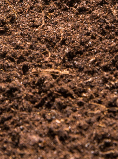 Heap of the soil isolated